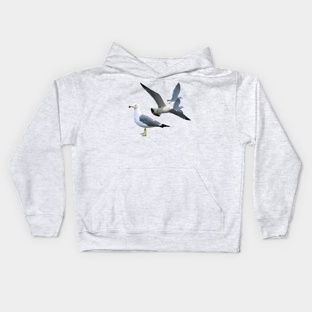 Black Tailed Gulls Kids Hoodie by stargatedalek